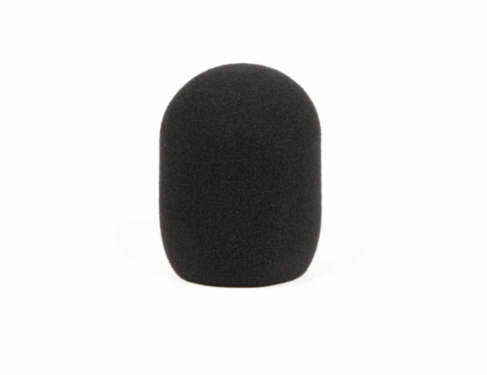 RYCOTE foam, large diaphragm, Neumann TLM103