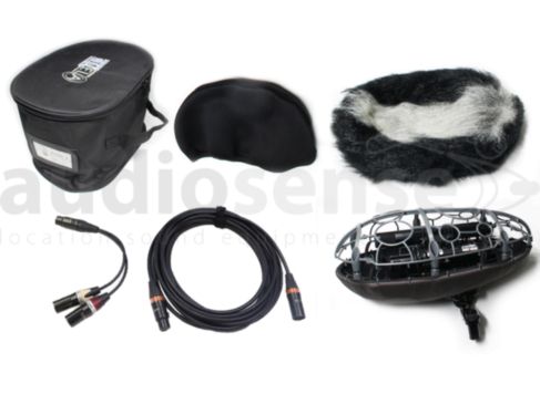 Sennheiser MKH30 + MKH40 MS microphone kit