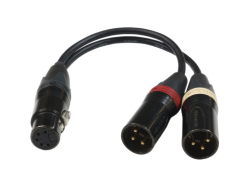 Audio stereo split cable, XLR5F / 2x XLR3M, 30cm
